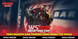 Đá gà trực tiếp