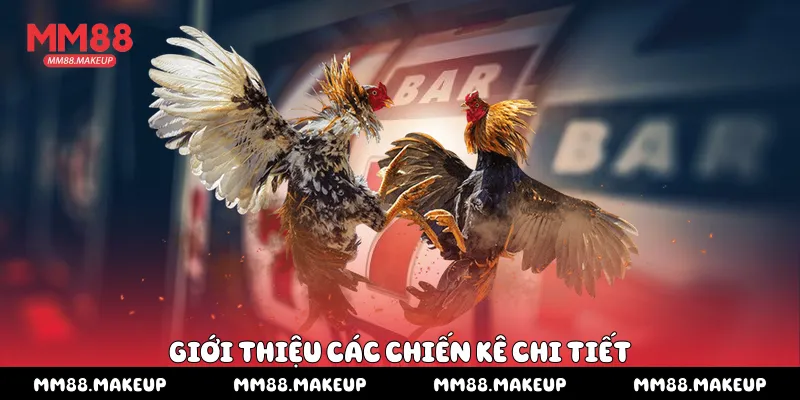 Giới thiệu các chiến kê chi tiết