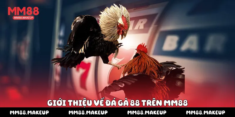 Giới thiệu về đá gà 88 trên MM88