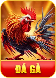 incon đá gà