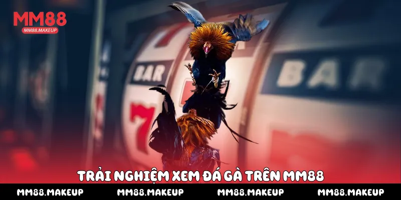 Trải nghiệm xem đá gà trên MM88